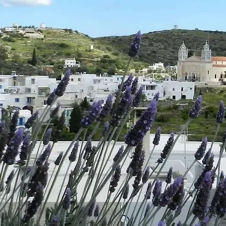 Katerina's Traditional House In Lefkes Village 아파트